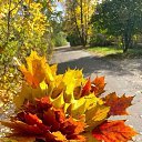 ���� �������, ����, 65 ��� - ��������� 25 ������� 2025