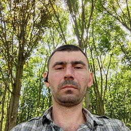 Maxim, 38, 