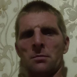 ����, ����, 41 ���