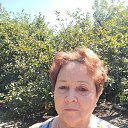 ���� ������, ��������, 72 ���� - ��������� 16 ������� 2026 � ������ ���� ����������