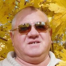 ���������, ������, 65 ���