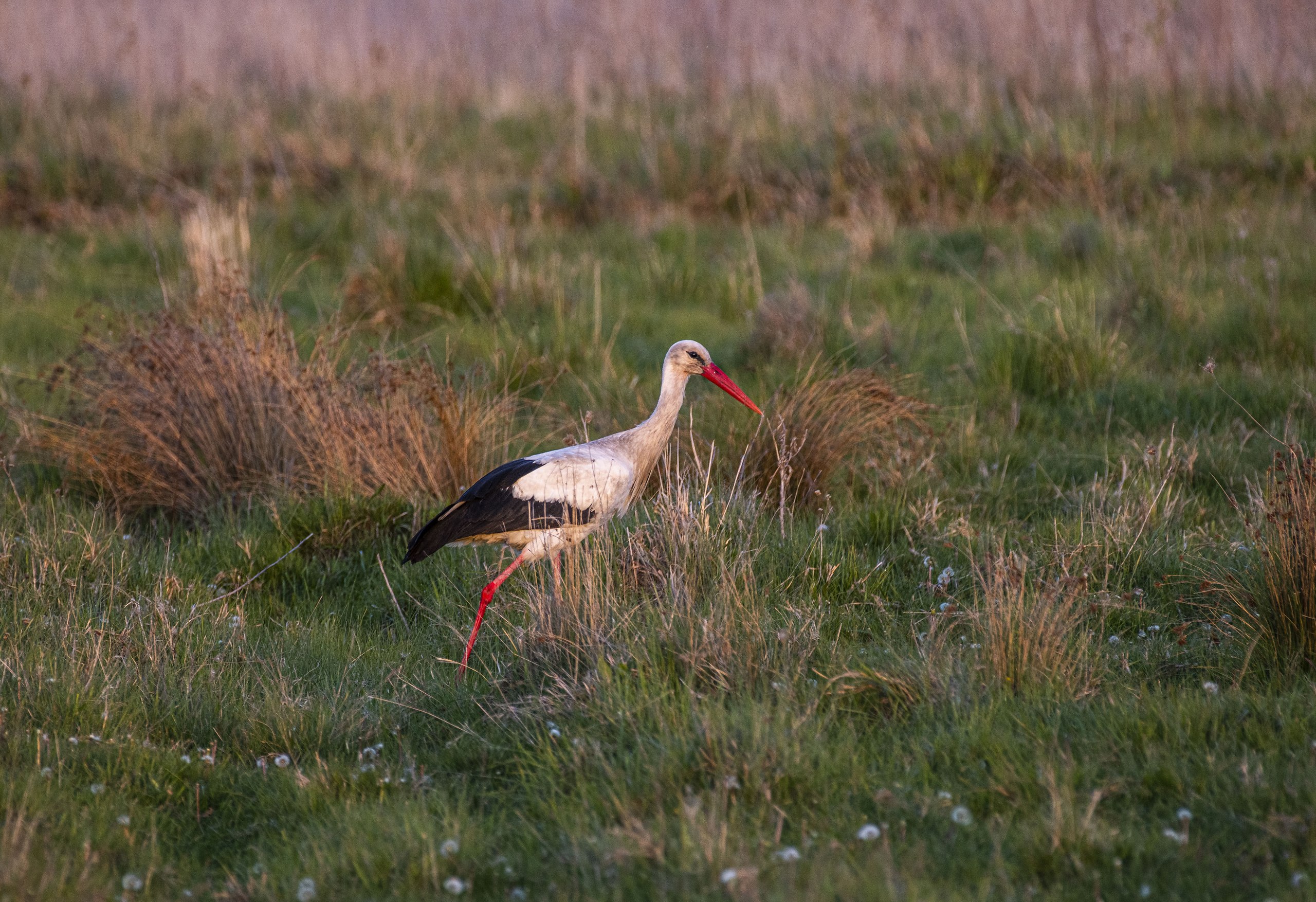  - 18  2025  23:41 - 6