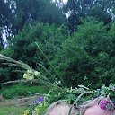 ���� �������, �����, 50 ��� - ��������� 24 ���� 2024 � ������ ���� ����������