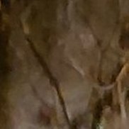 �����, 20 ���, ������