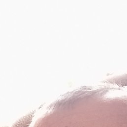 ������, ������, 38 ���