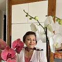 ���� �����, ������ - ��������� 12 ������ 2023 � ������ ���� ����������