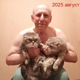 ���� �����, ������, 65 ��� - ��������� 25 ��� 2026