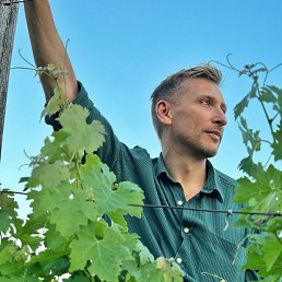 ������, ����, 36 ���