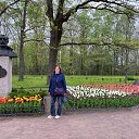 15.05.2026. ��������� �� ������ ���������� �.�. ������� � ������ ������. ����������� �������. �� ������� ���� ����������