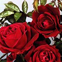 ���� �����, ��������, 48 ��� - ��������� 5 ������ 2024 � ������ ���� ����������