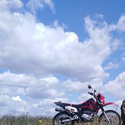 , 37 , 
