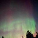 ���� �����, ���������, 41 ��� - ��������� 10 ���� 2024 � ������ ���� ����������