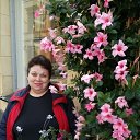 ���� �����, �����-��������� - ��������� 8 ���� 2024 � ������ ���� ����������