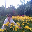 ���� �����, ������ - ��������� 17 ������� 2025 � ������ ���� ����������