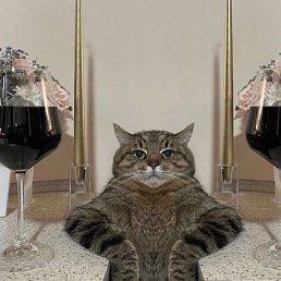 ���� ���������, ������, 46 ��� - ��������� 12 ����� 2025