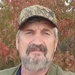 ��������, ������, 67 ���