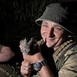 �������, 42 ����, �����