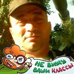 �, ������, 46 ���