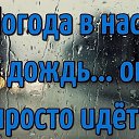 ���� �����, ������ - ��������� 14 ���� 2026 � ������ ������ ��������