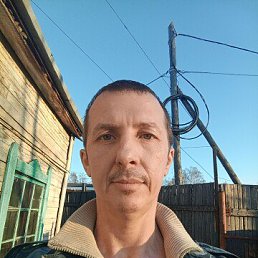 �����, 44 ����, �����������