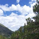 ���� �����, �����������, 45 ��� - ��������� 3 �������� 2024 � ������ ���� ����������