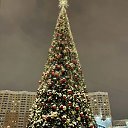 ���� �����, �����, 55 ��� - ��������� 9 ������ 2026 � ������ ���� ����������