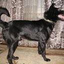 ���� ��������, �����-���������, 48 ��� - ��������� 27 ������ 2025 � ������ ���� ������ ����