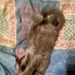 ���� �������, ������, 63 ���� - ��������� 29 ������� 2023