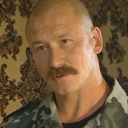 ��������, ������, 37 ���