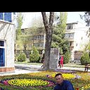 ���� Mahmudali Kamolov, �����-���������, 33 ���� - ��������� 15 ��� 2024 � ������ ���� ����������