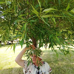 �������, �������, 63 ����