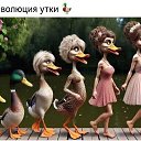 ���� ������, ������, 47 ��� - ��������� 14 ������ 2026