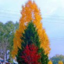 ���� �������, ������������, 67 ��� - ��������� 8 �������� 2025 � ������ ������ ��������