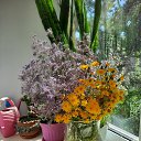 ���� �����, ���������, 68 ��� - ��������� 8 ������� 2025 � ������ ���� ����������