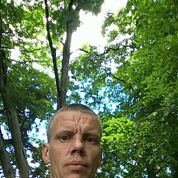 �������, 40 ���, �����-���������