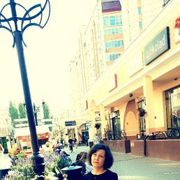 ���� �����, �������, 44 ���� - ��������� 17 ����� 2026