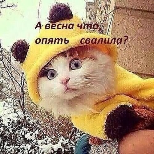 � ��� ���� ���� ��������,� �����,� ����� ��� �� 10 �� �������,�� ������... - 3