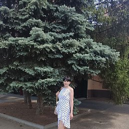 , , 44 