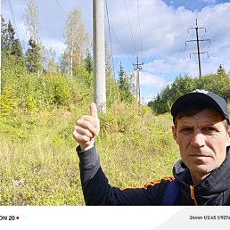 , 46, 