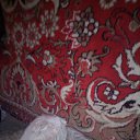 ���� ���������, ������, 56 ��� - ��������� 17 ������ 2024 � ������ ���� ����������