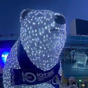 ������, 64 ����, �����-��������