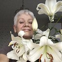 ���� ���, ������, 66 ��� - ��������� 3 ������� 2026 � ������ ���� ����������