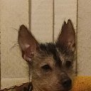 ���� ����, ������-��-����, 58 ��� - ��������� 4 ������ 2026 � ������ ���� ����������