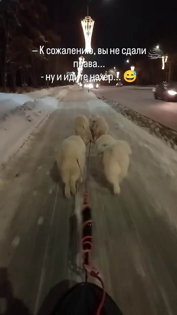 ��� ����? �� ����