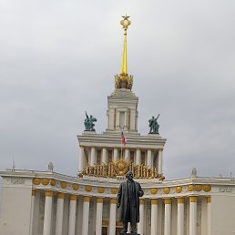 ������, 43 ����, ������ �����