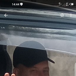  , 61, 