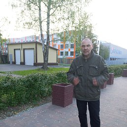 , 52, 