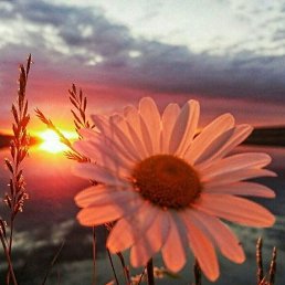 ���� ����, ����������� - ��������� 25 ������ 2026