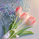 ���� �����, ������ - ��������� 12 ����� 2026 � ������ ������ ��������