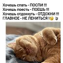 ���� ����, �������, 54 ���� - ��������� 12 ������ 2026